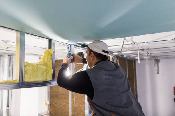 Best DIY Insulation Kits and Guidance in Irwin, SC