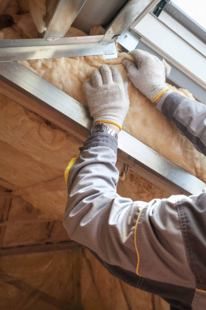 Best Residential Insulation in Irwin, SC